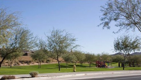 Green belt park in Sonoran Foothills, north Phoenix